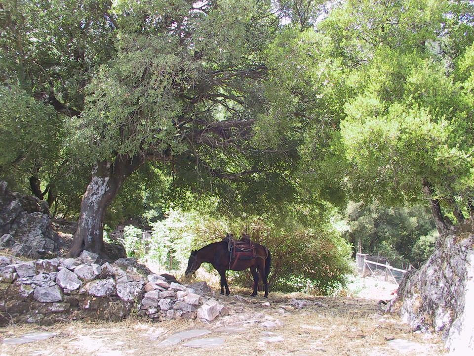Ágios Konstantínos Hotel Agnanti מראה חיצוני תמונה